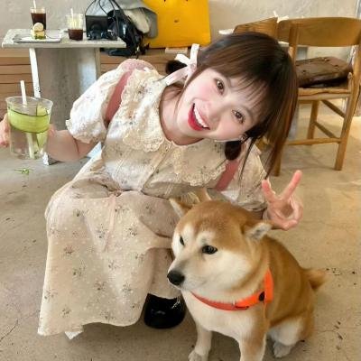 没有谎言